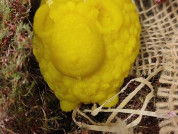 Schäfchen Seife Mango